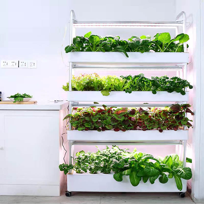ydroponic Planting System Smar - Smart Home Automation Diy recension och pris