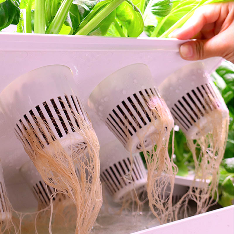 ydroponic Planting System Smar - Smart Home Automation Diy recension och pris
