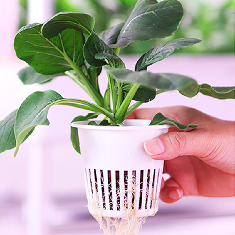 ydroponic Planting System Smar - Smart Home Automation Diy recension och pris